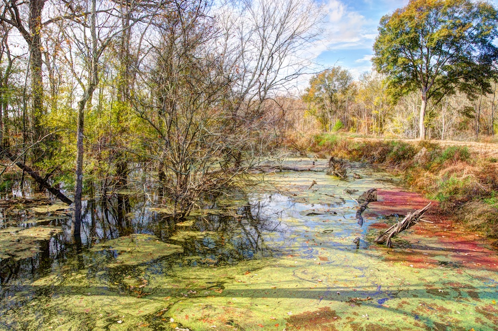 Grand Cote NWR